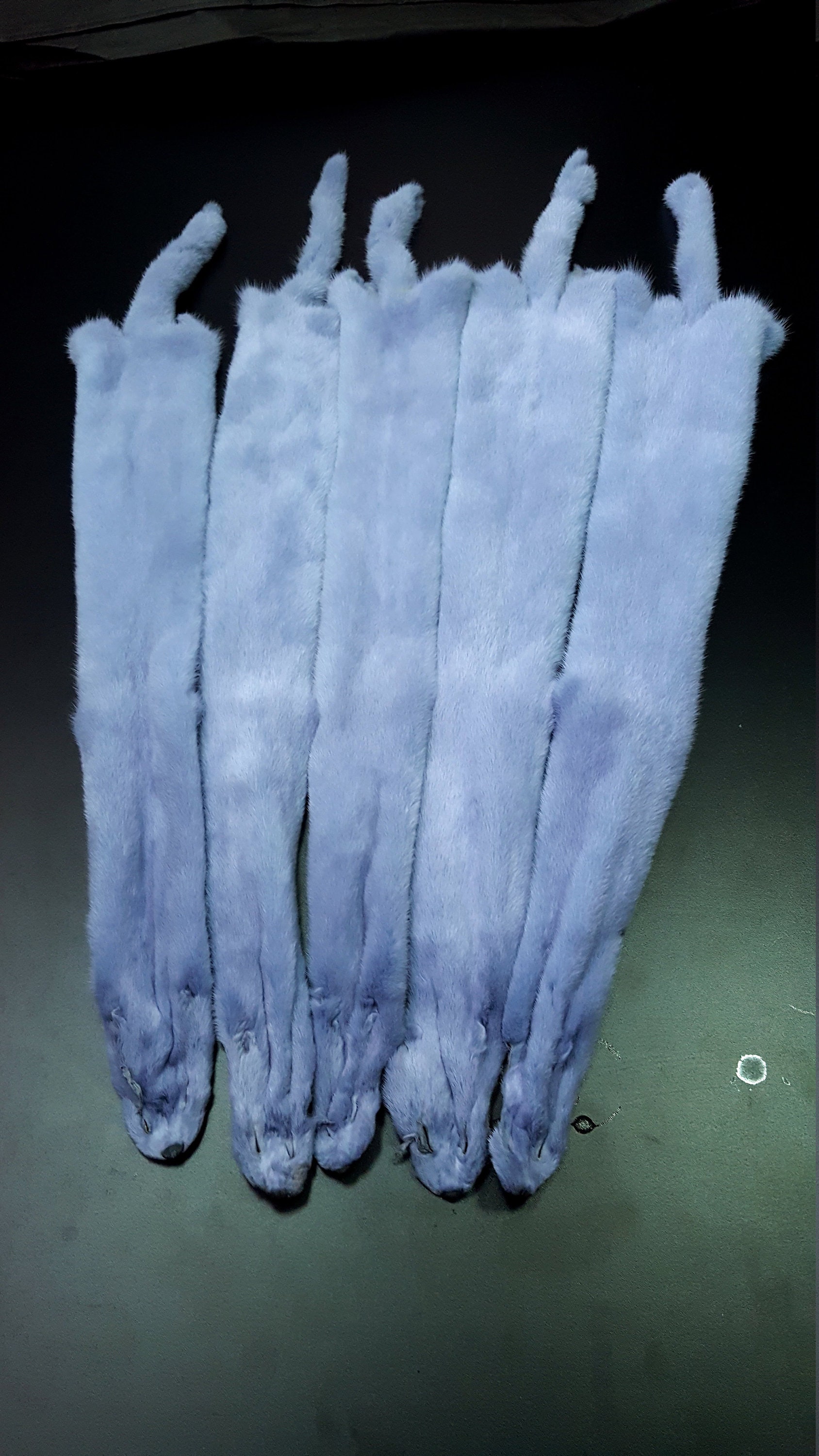 Purple mink pelt mink mink pelt mink pelts mink skin Etsy