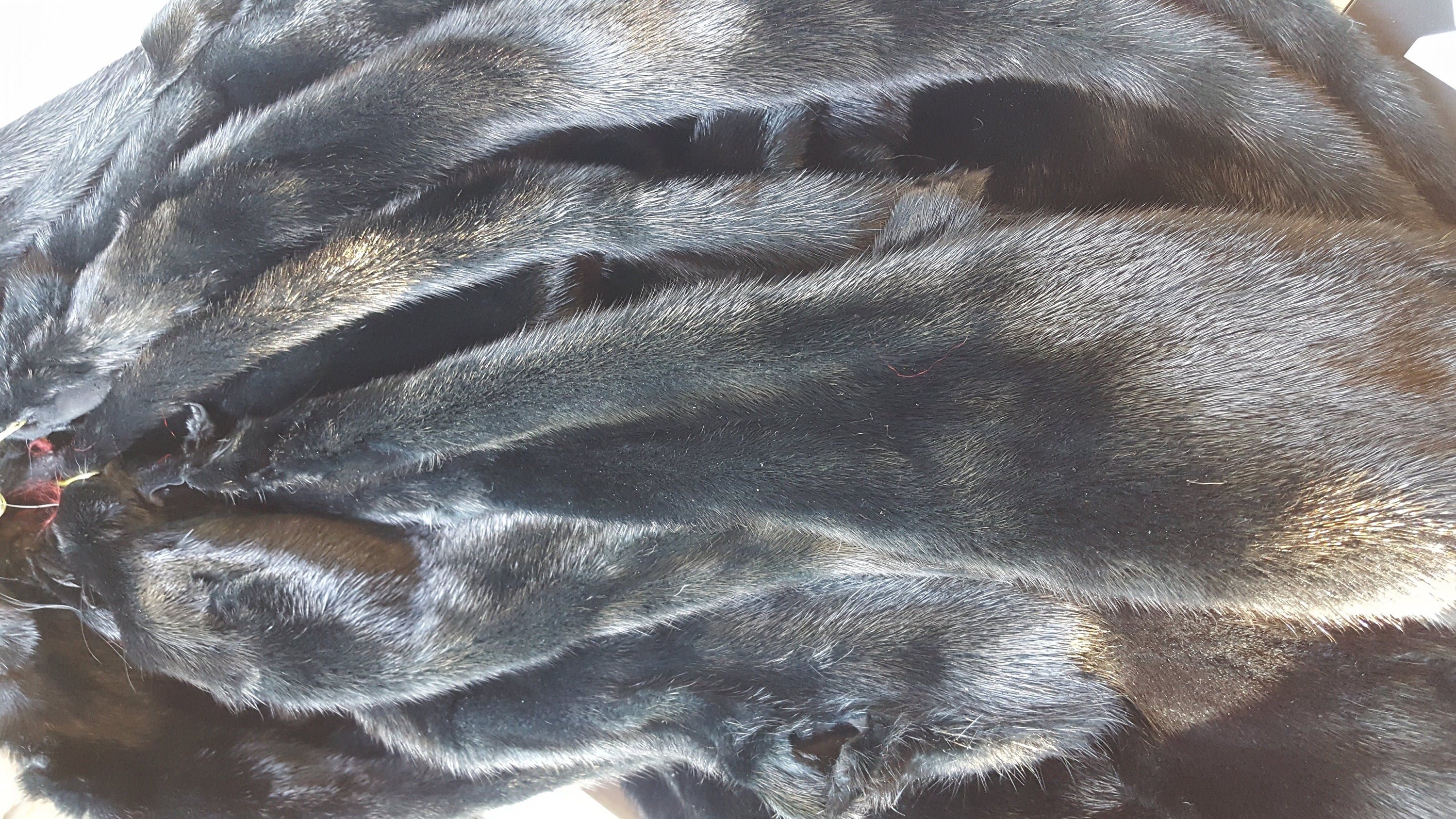 Dark Green Mink Pelt Mink Fur Mink Hide Mink Skin Real Etsy UK