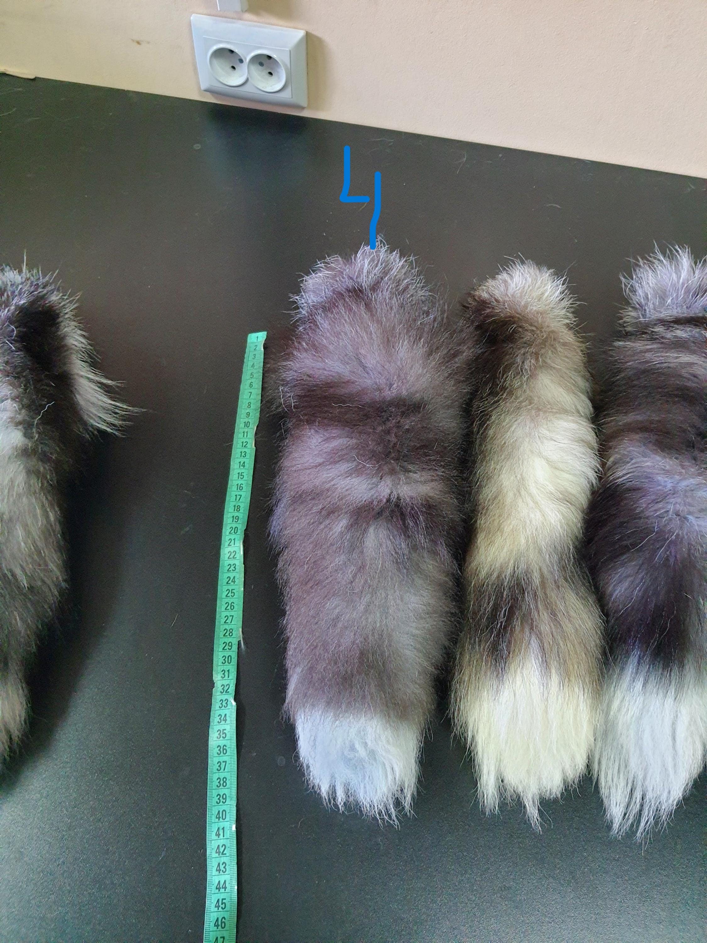 Large Silver Fox Tail, Fox, Tail, Silver Fox Tail, Fur Tail, Fox
