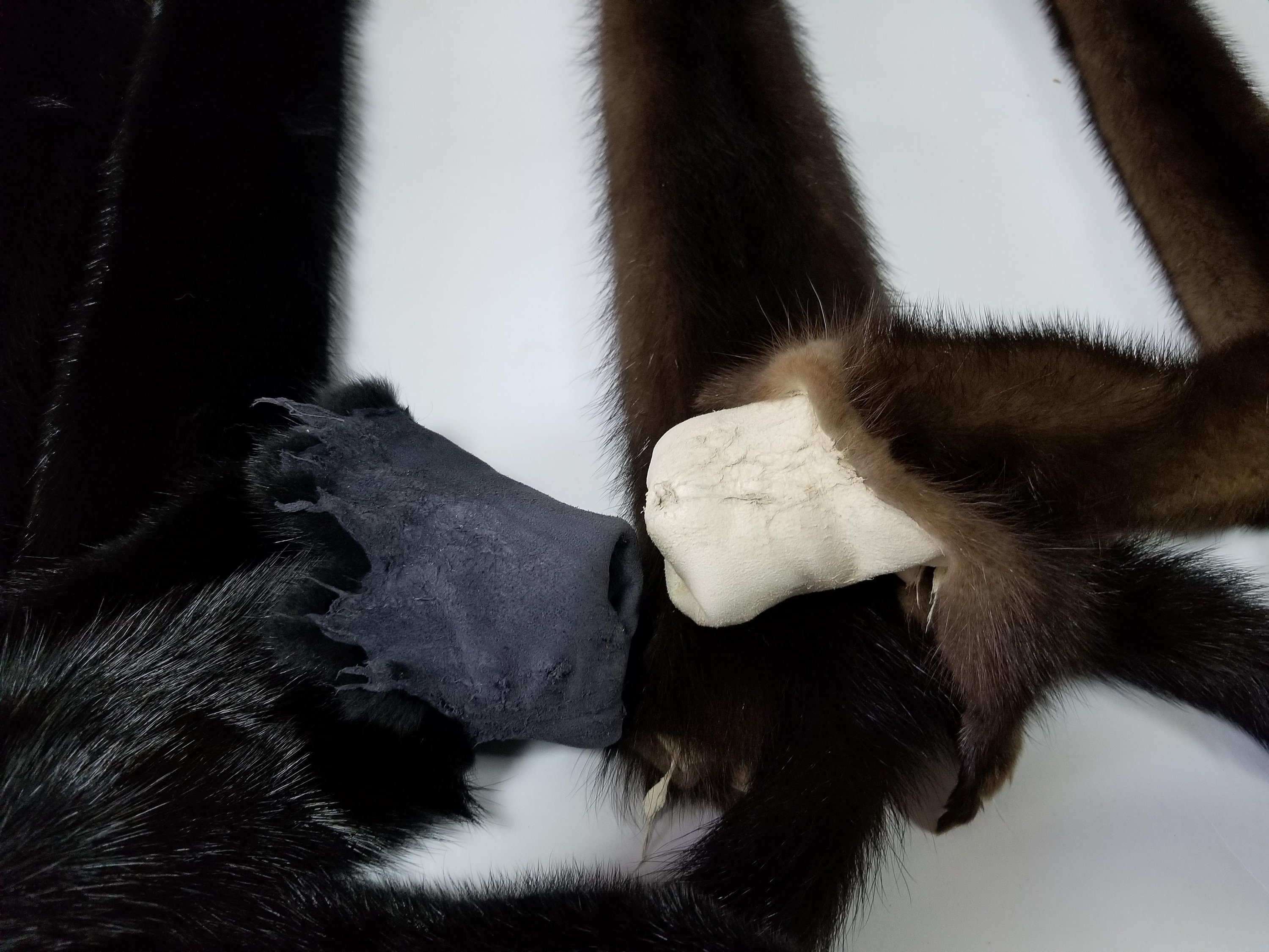 本物のミンクの毛皮、ミンクの毛皮、ミンクの毛皮、本物の毛皮