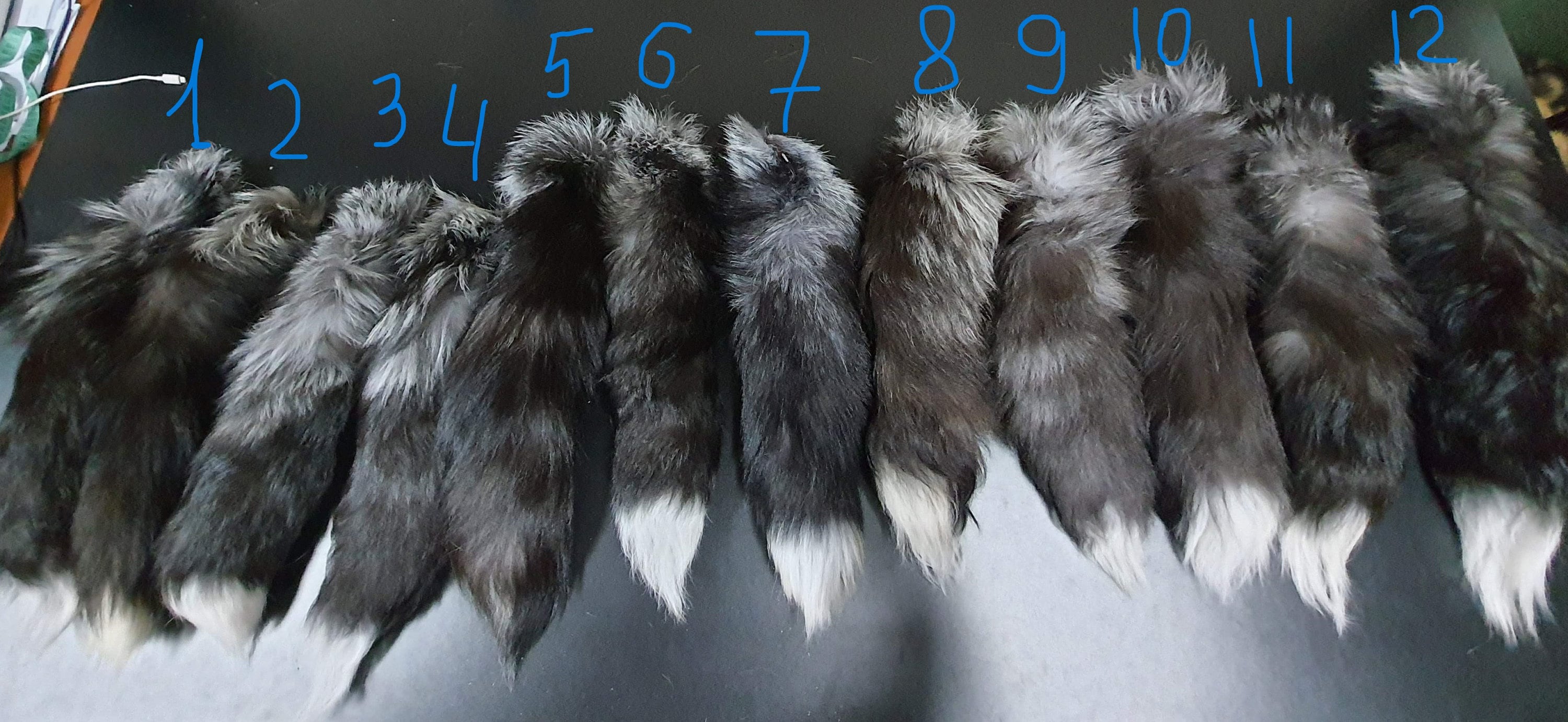 XXXL シルバーフォックステール 超ふわふわで大きい 22 インチ/55 cm