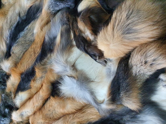 狐の毛皮 足と爪が付いたクロスフォックスの毛皮、キツネの毛皮、キツネの毛皮