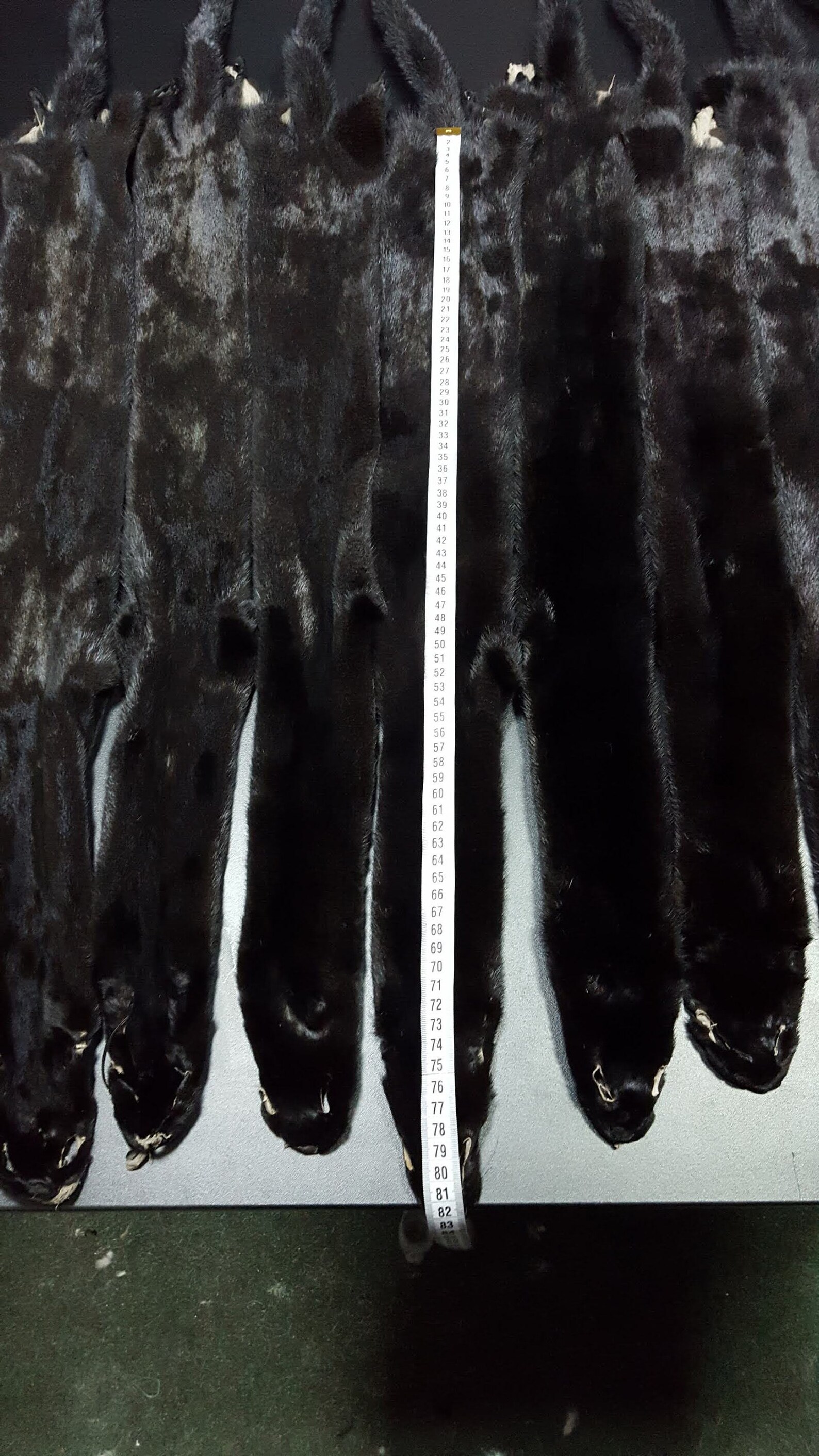 Mink Pelt Black Mink Skin Black Mink Fur Mink Hide Mink Etsy