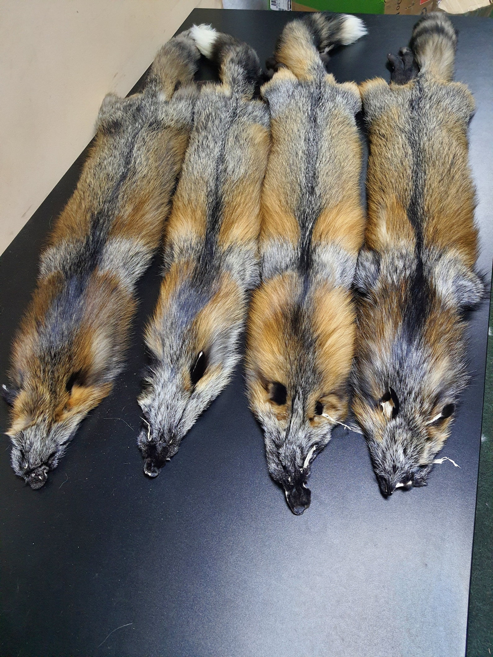 Cross Fox Pelt Fox Pelt Fox Pelts Fox Fur Real Fur Real - Etsy