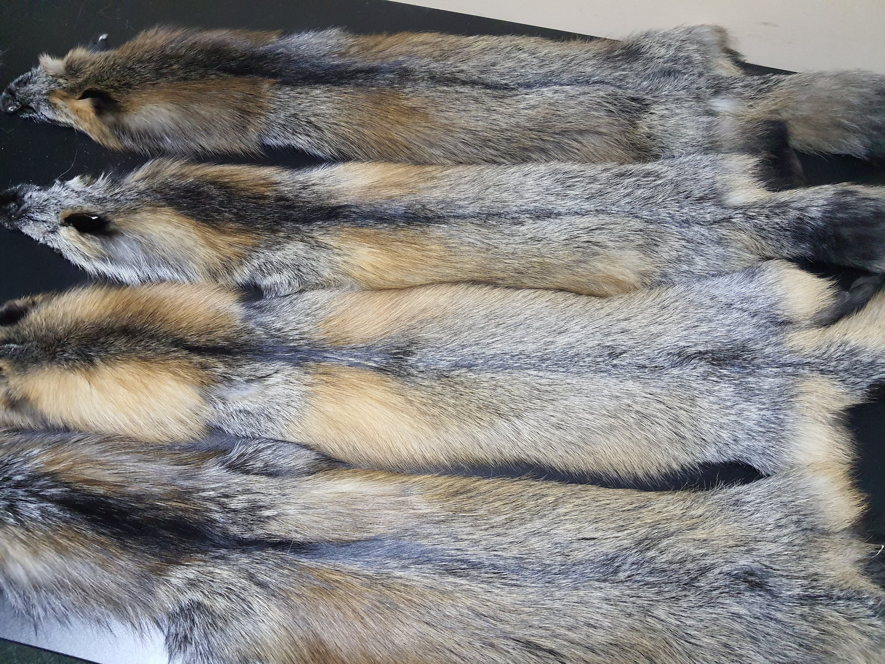 Cross fox pelt, fox pelt, fox pelts, fox fur, real fur, gold cross fox