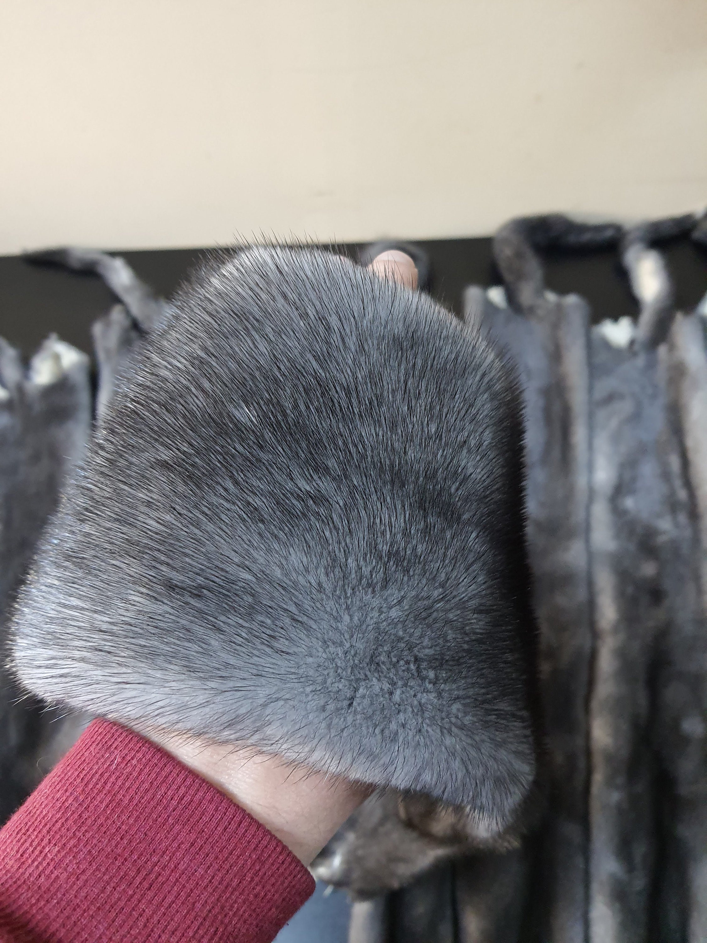 ブルーアイリスミンクの毛皮 - Etsy 日本