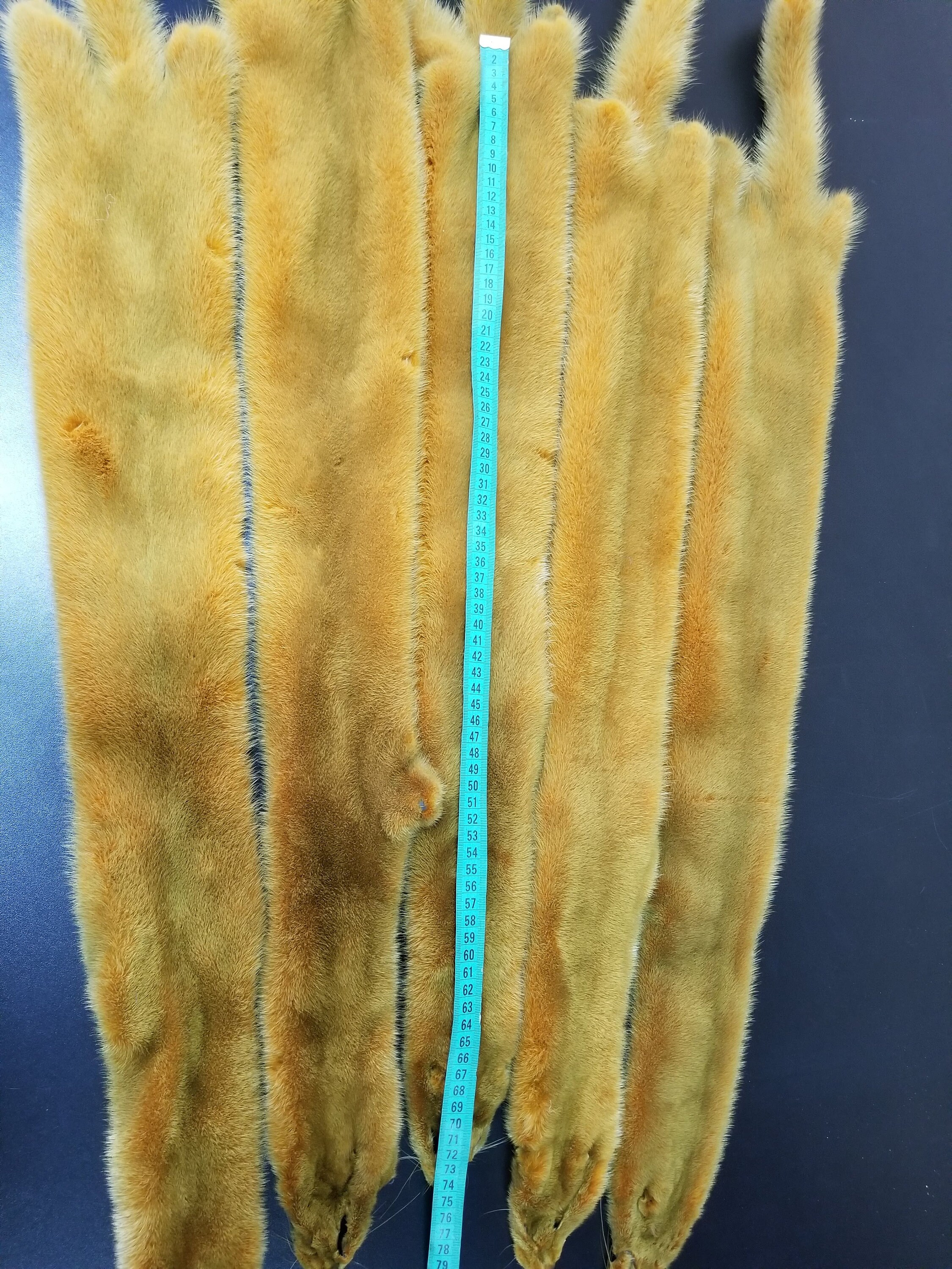 Yellow Mink Pelt Mink Mink Pelt Mink Pelts Mink Skin Mint Etsy