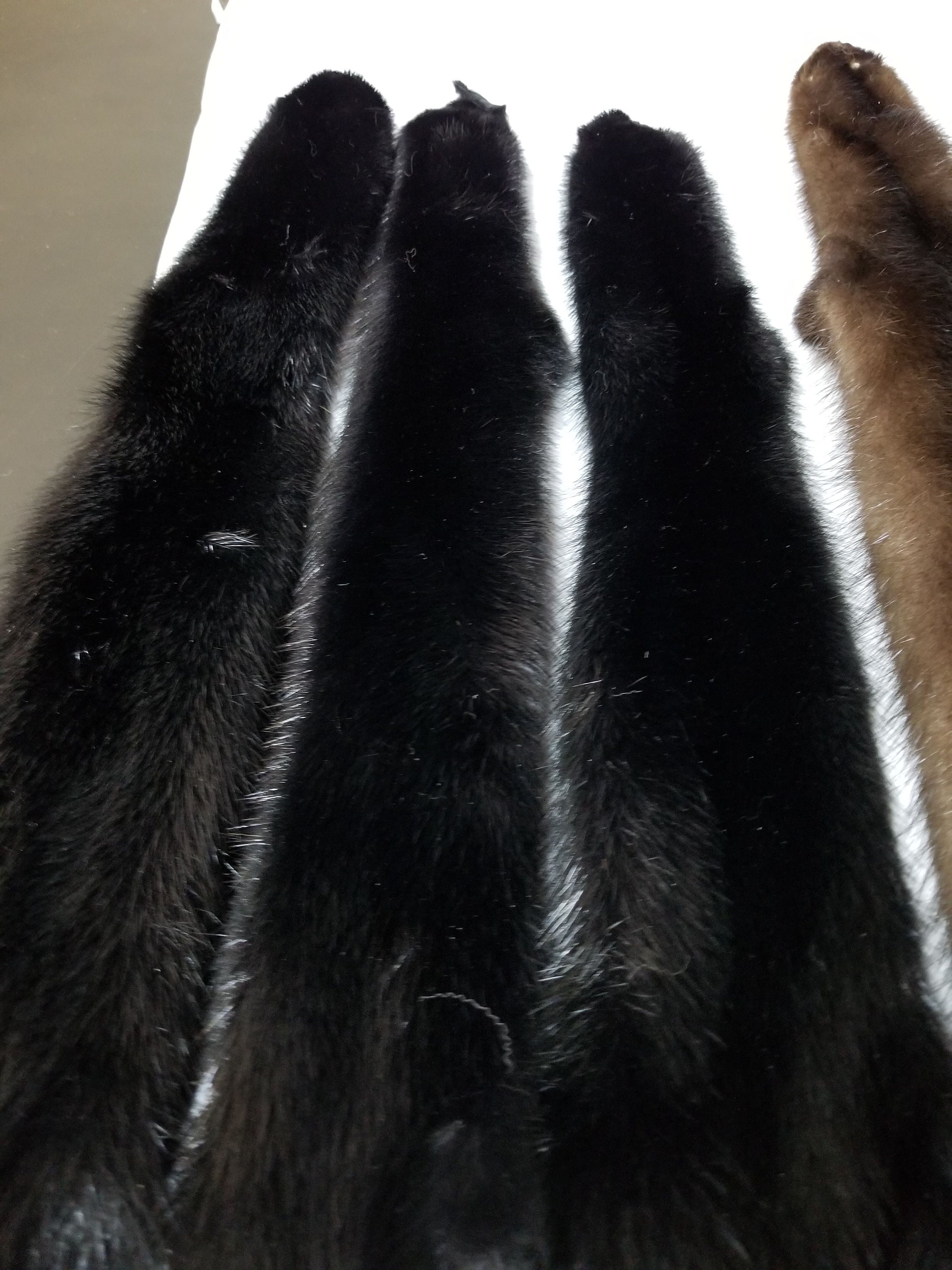 本物のミンクの毛皮、ミンクの毛皮、ミンクの毛皮、本物の毛皮