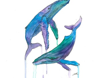 Dancing humpies (gravure d’aquarelle de baleine à bosse)