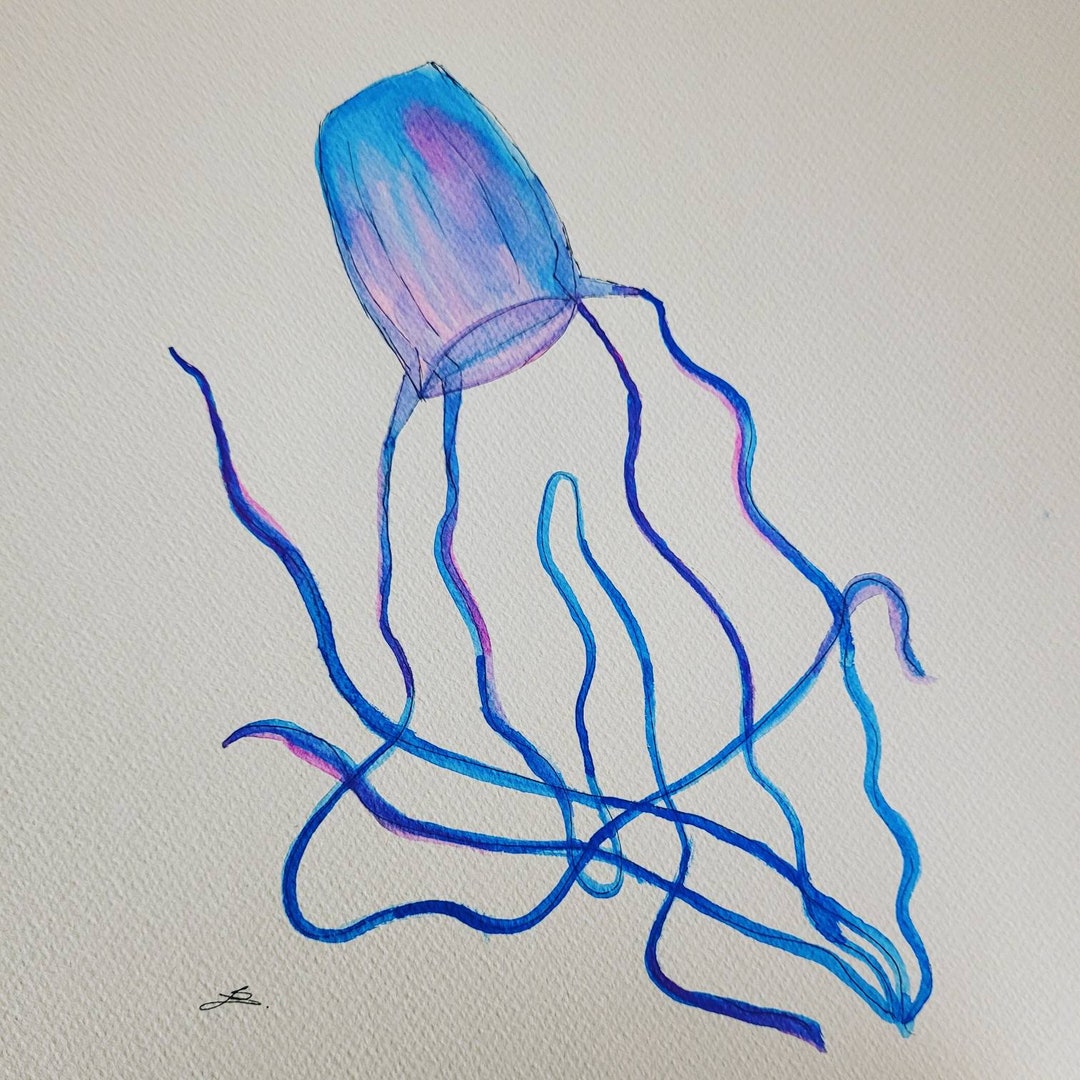 Deadly Beautiful irukandji Jellyfish Watercolour Painting. Etsy