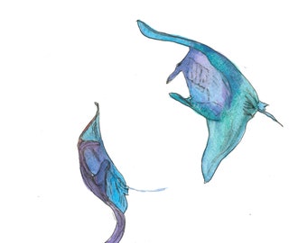 Heart to heart (print of manta ray watercolour painting)