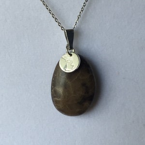Michigan Petoskey Stone Necklace