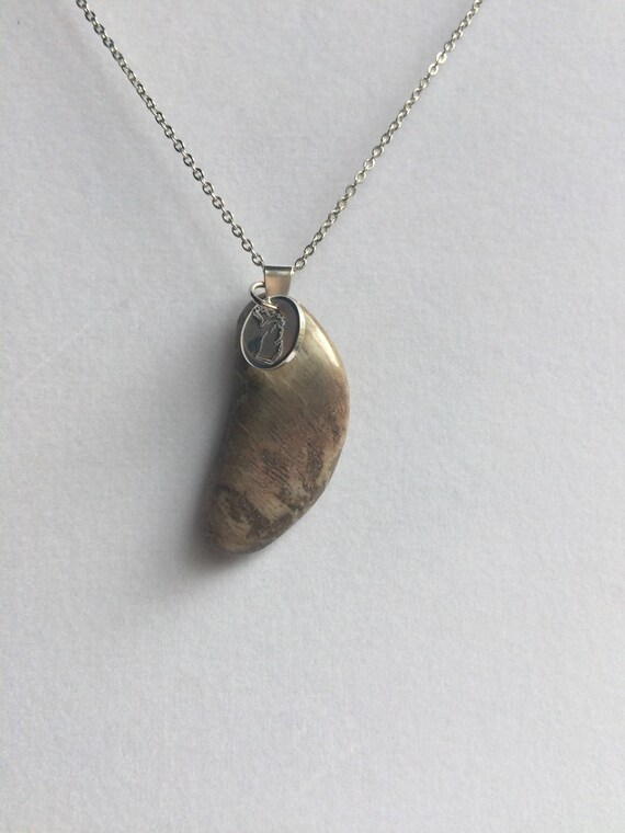 Michigan Petoskey Stone Necklace
