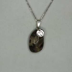 Michigan Petoskey Stone Necklace