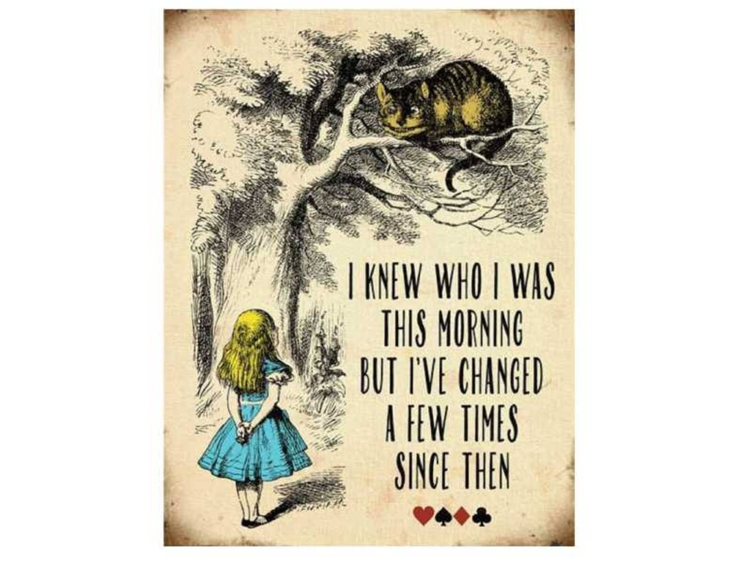 Alice in Wonderland I've Changed a Few Times Since Then - Etsy UK