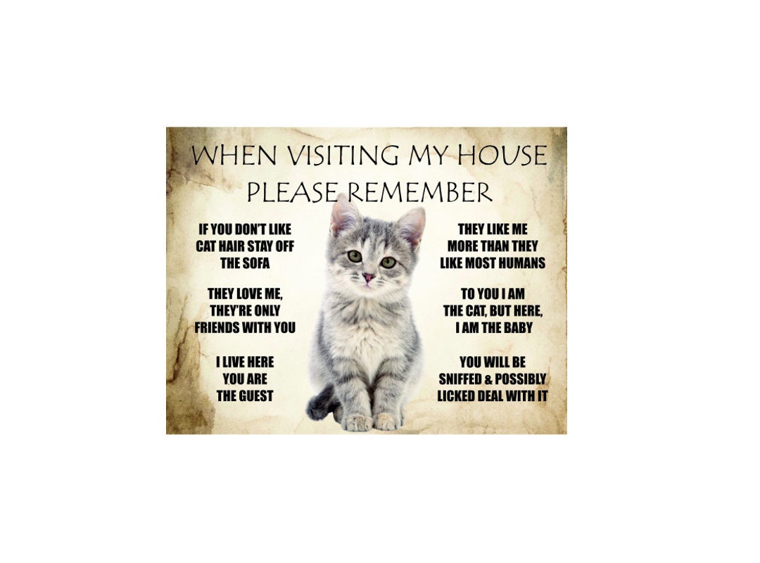 When Visiting My House Please Remember Love Cat Rules Man Cave Metal