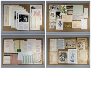 Vintage and antique paper ephemera collection in full pages and smaller items, great for collage, scrapbooking, art journal, junk journal