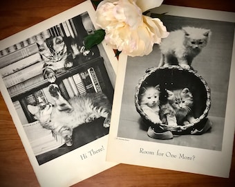 1950s Cat Photos Sports Theme Captions Two Pages Different Image Each Side B&W Images Vintage Mid-century Kitsch Kittens Wrestling Baseball