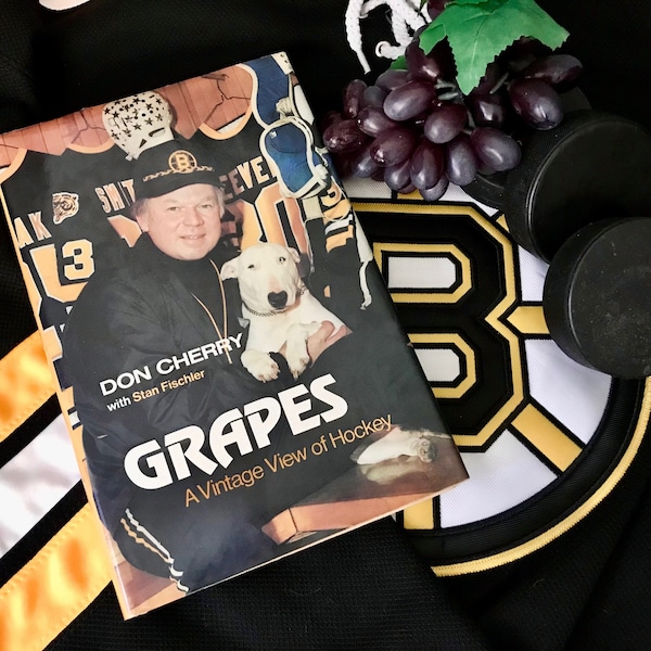 1982 Grapes Don Cherry Vintage View of Hockey NHL Boston Bruins Cover Blue Bull Terrier Hardcover HCDJ With Stan Fischler Sports History