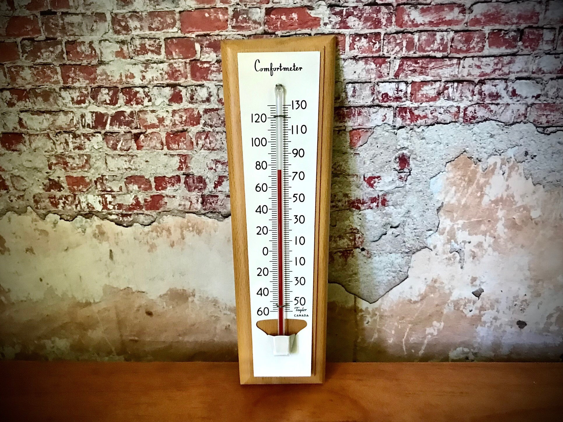 12 Metal Patio Thermometer & Hygrometer – Taylor USA