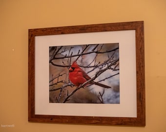 Framed Cardinal