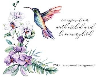 Download Hummingbird Svg Etsy