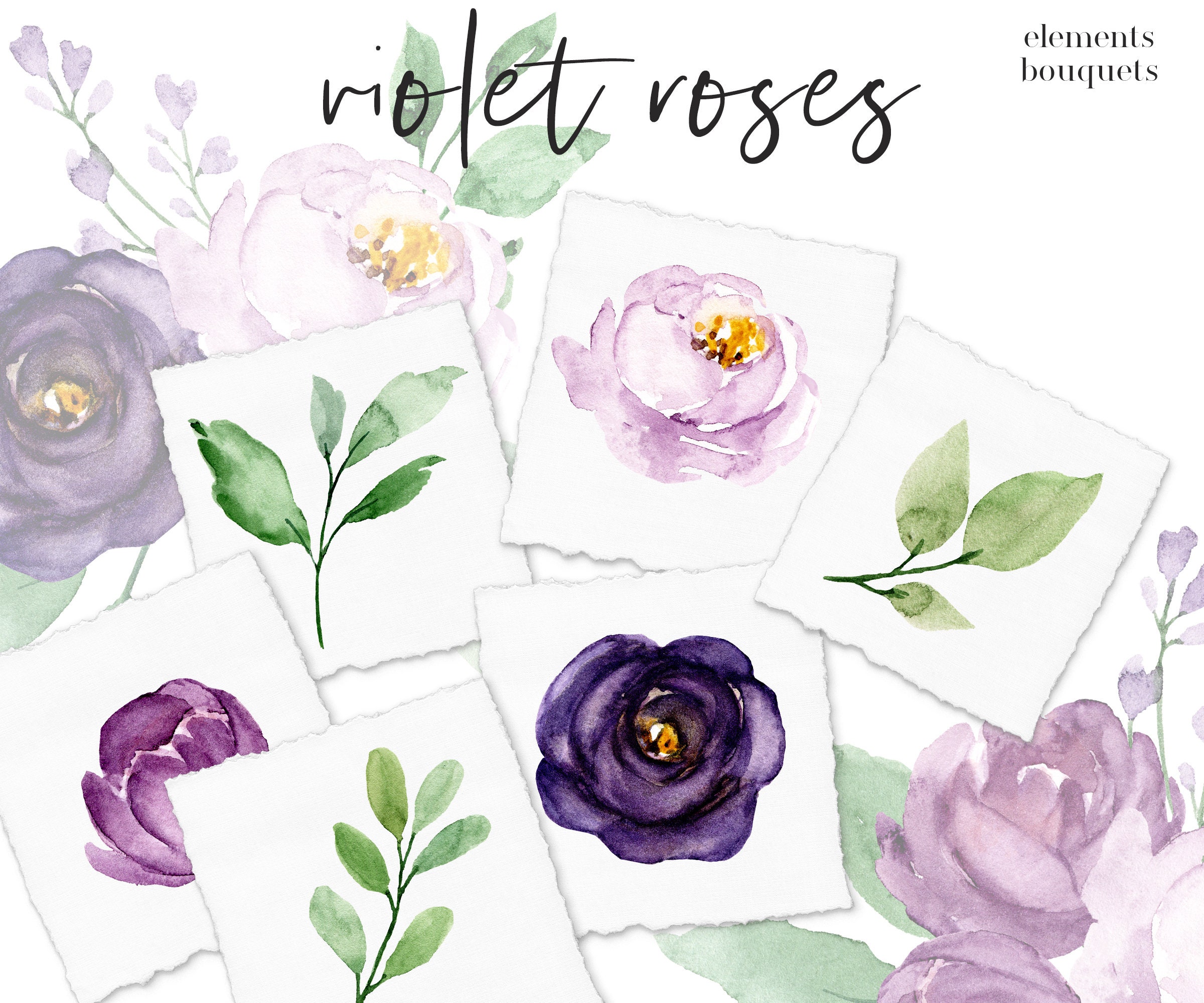 Aquarelle Flower And Leaf Floral Set Clipart Watercolor Flowers Violet Roses Free Commercial Use Png Files With Transparent Background Digital Art Collectibles Vadel Com