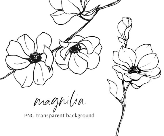 Flowers magnolia clipart set line art floral clipart black | Etsy