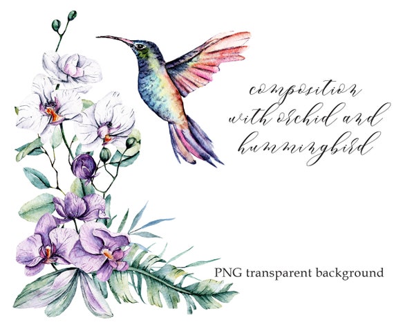 Download Watercolor Hummingbird And Flowers Orchid Colibri Clipart Etsy