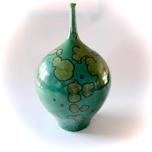 Op de afbeelding: Een groene keramische vaas met een bolvormige body en een lange, smalle hals. De vaas heeft een glanzende afwerking en is versierd met lichtgroene, organische patronen omlijnd met donkergroen. Een decoratief item voor in huis.