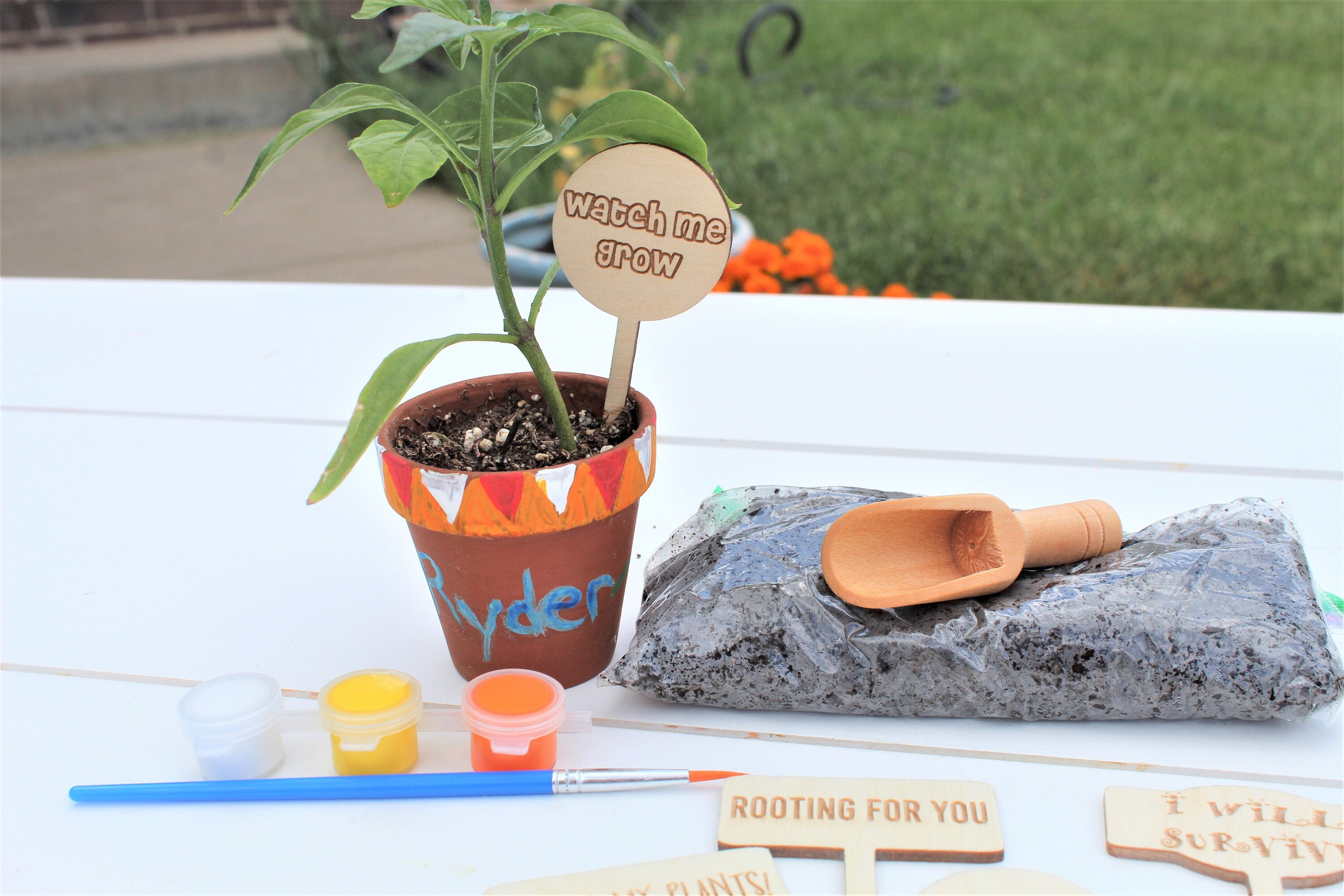 Garden Kit for Kids – Grow and Make - Grow and Make