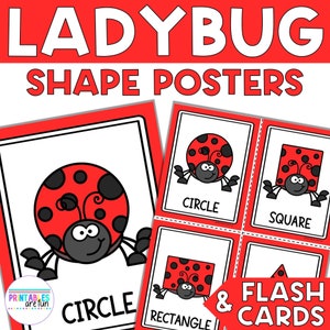 Ladybug 2D Shape Posters and Flash Cards | Printable Math Activity for Preschool, Kindergarten, Homeschool