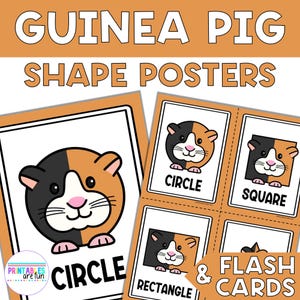 Pode incluir: Cartazes educativos e cartões flash com ilustrações de porquinhos-da-índia em formas como círculo, quadrado e retângulo. Os cartazes têm um fundo branco com gráficos de porquinhos-da-índia pretos, castanhos e rosa. O texto "GUINEA PIG SHAPE POSTERS" está no topo.