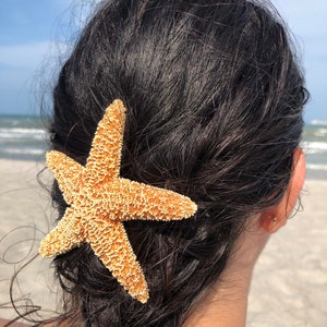 Orange Starfish Hair Barrette **Mermaid Collection** Large Sugar Star