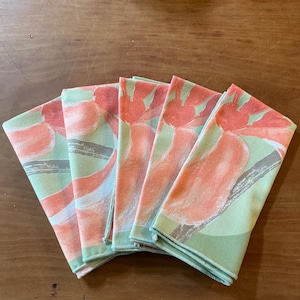 Vintage Vera napkins - set of 5 mint green and cantaloupe iris