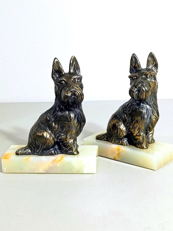 Bull Terrier, Bull Terrier V - statuette de chien, buste sur socle en