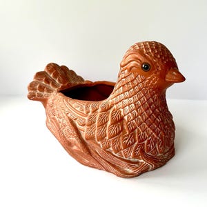 May include: A terracotta-colored bird-shaped planter. The planter has detailed feather and wing patterns, with a small eye and beak. The open top is designed for planting flowers or herbs. The bird is sitting on a white surface.