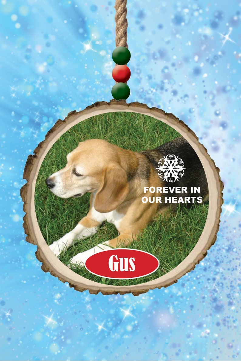 2020 Cross Country Christmas 2020 Cross Country Christmas