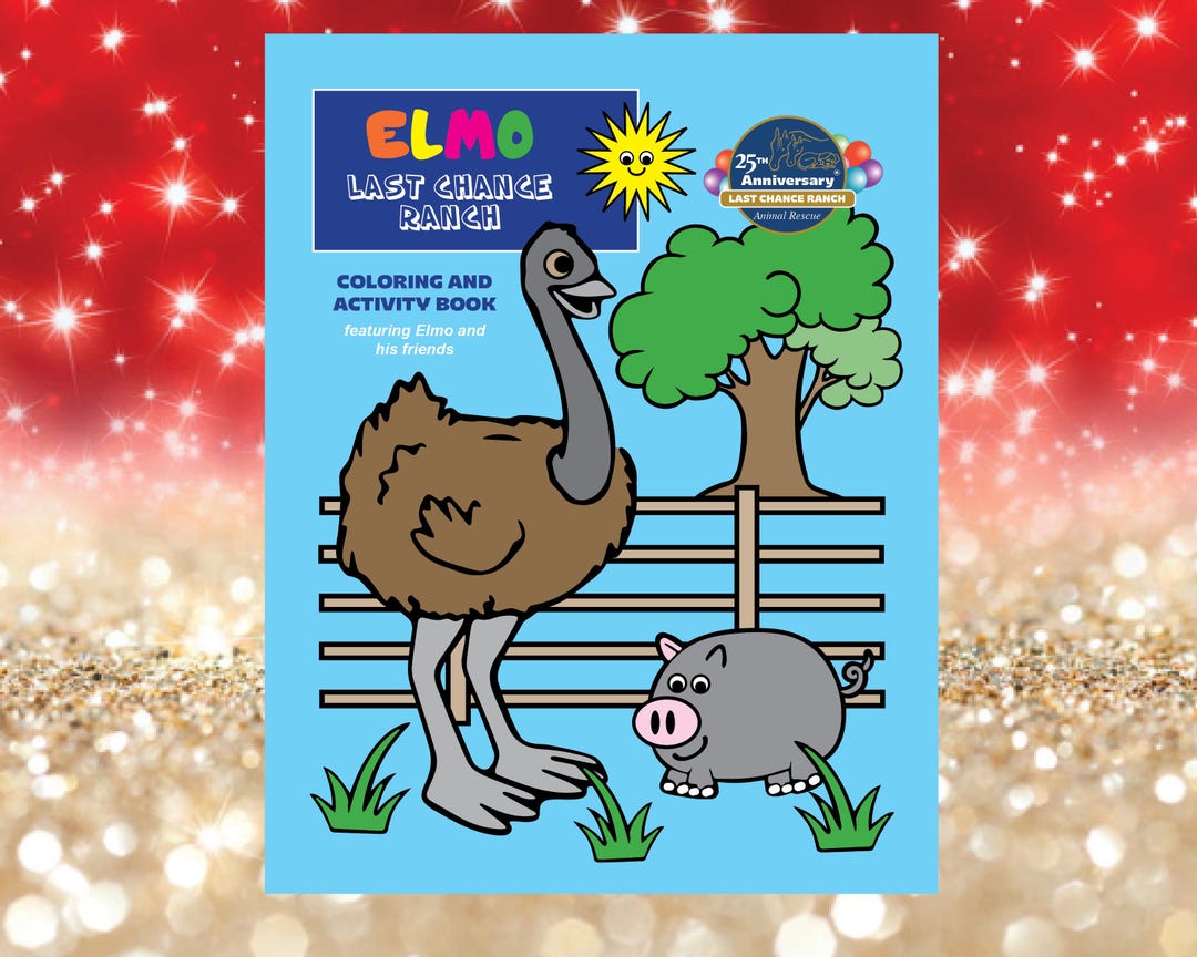 Last Chance Ranch Coloring and Activity Book - Etsy