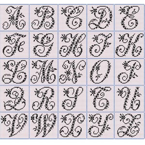 Peut inclure: Une grille de 26 lettres de l'alphabet noires et ornées, chacune dans un carré séparé. Les lettres sont dans un style cursif avec des ornements floraux. Le fond est de couleur blanc cassé clair, créant un design d'alphabet décoratif classique.
