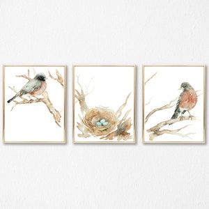 May include: A set of three watercolor paintings featuring a robin perched on a branch, a nest with blue eggs, and another robin on a branch. The paintings are framed in gold.