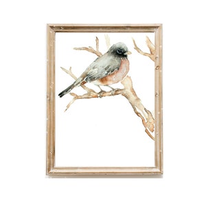 Bird Print, Robin Wall Art, Giclee Print of Original Watercolor Painting, Animal Woodland Vertical or Square Nursery Art, Robin Bird Gift