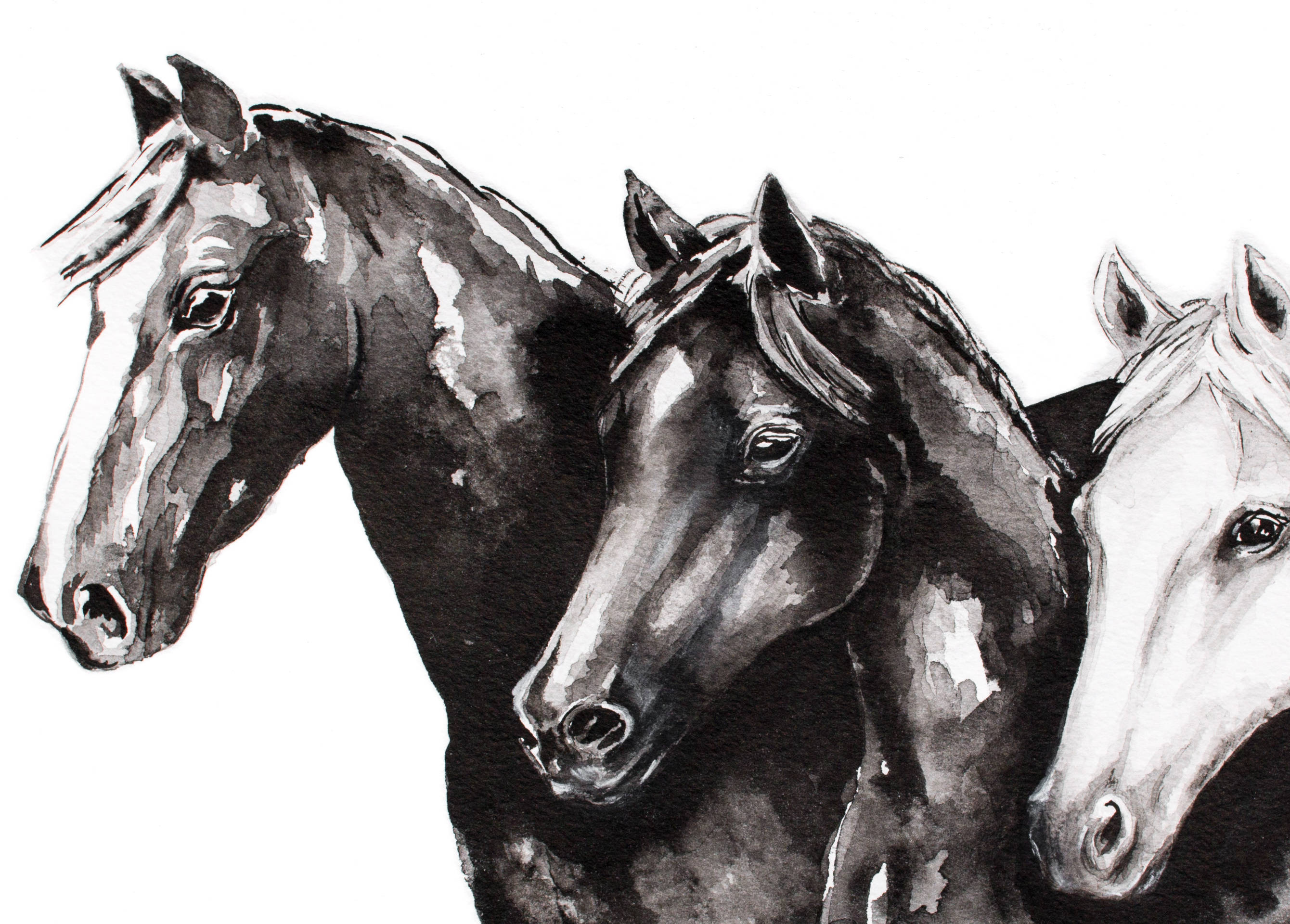 馬の壁アート、白黒の馬の絵、オリジナルの馬の絵のインクの