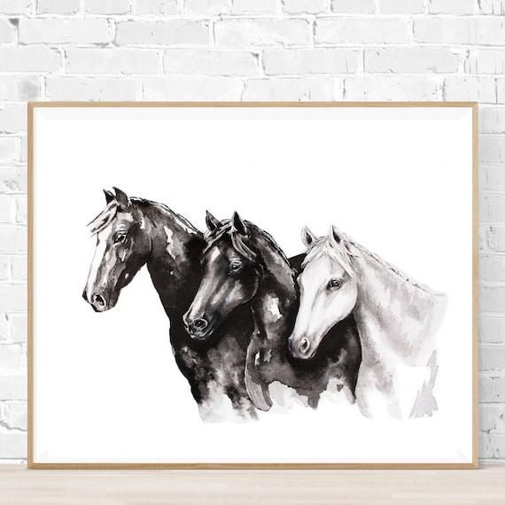 Dibujos De Caballos En Blanco Y Negro