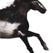 Horse Silhouette PRINTABLE Horse Digital Download Abstract - Etsy