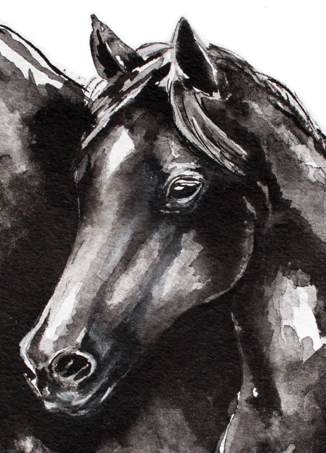 Horse Wall Art PRINTABLE DIGITAL DOWNLOAD Black and White - Etsy