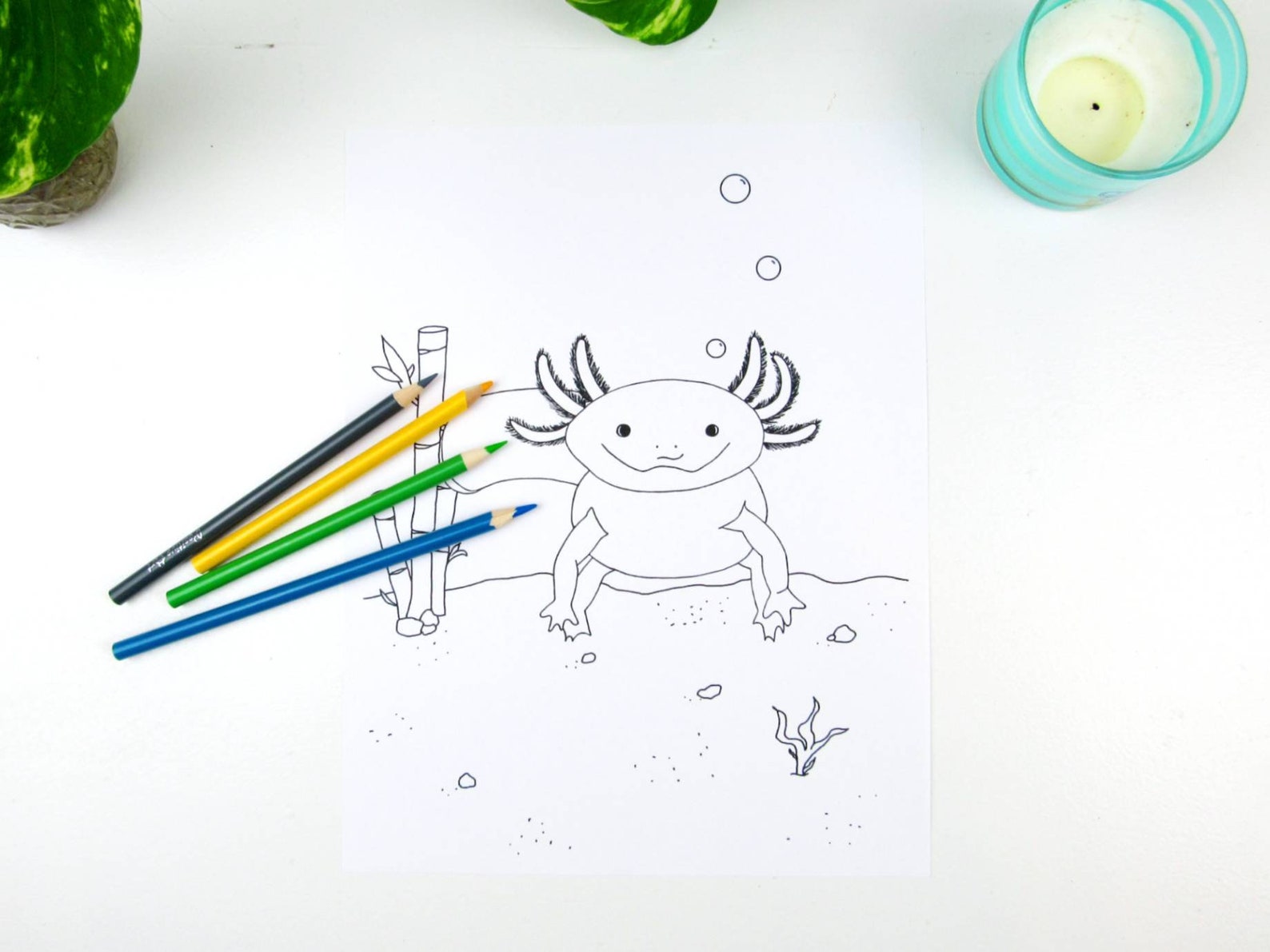 Axolotl Printable Coloring Page All Ages Coloring Page Cute - Etsy
