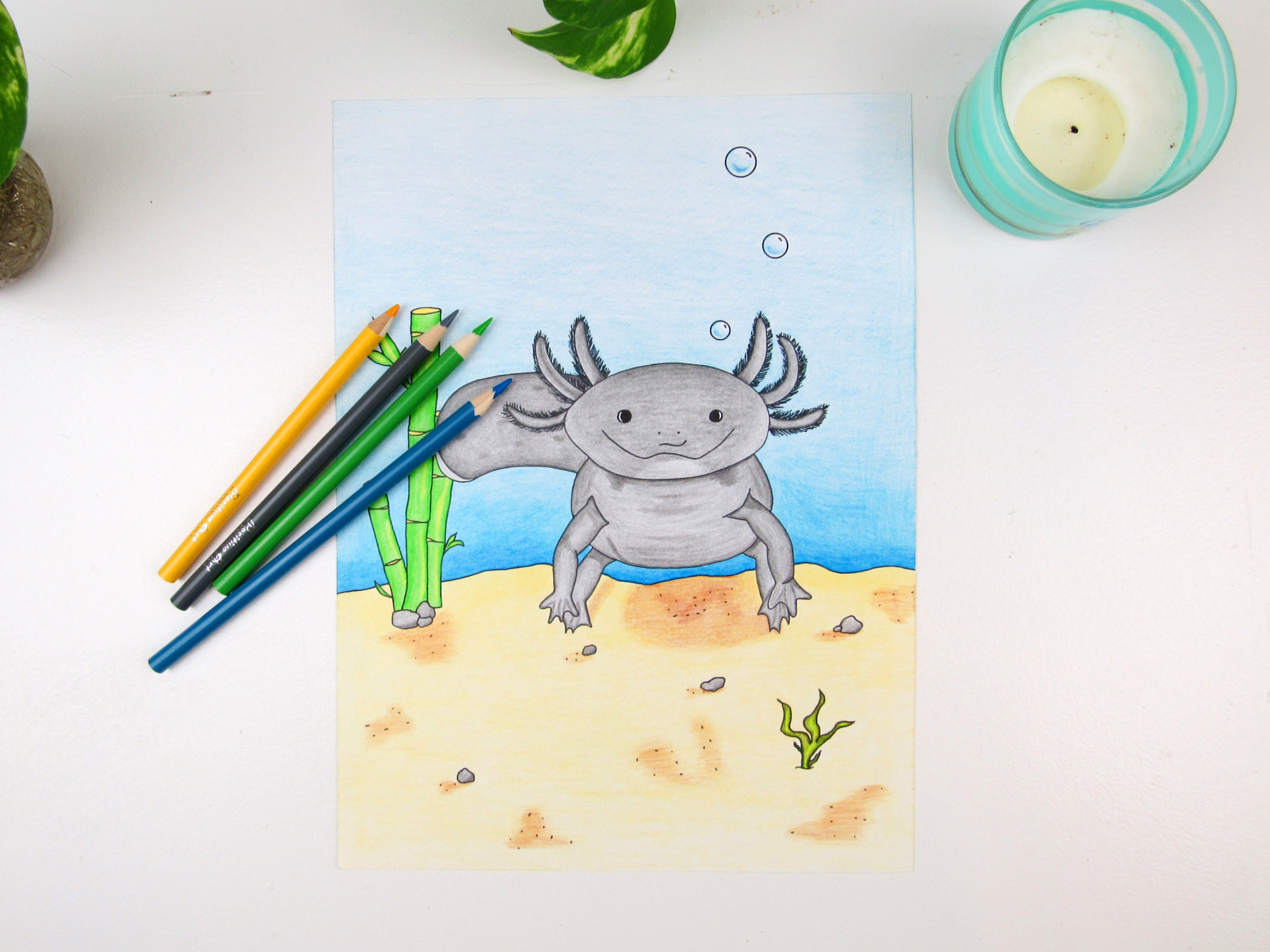 Axolotl Printable Coloring Page All Ages Coloring Page Cute - Etsy