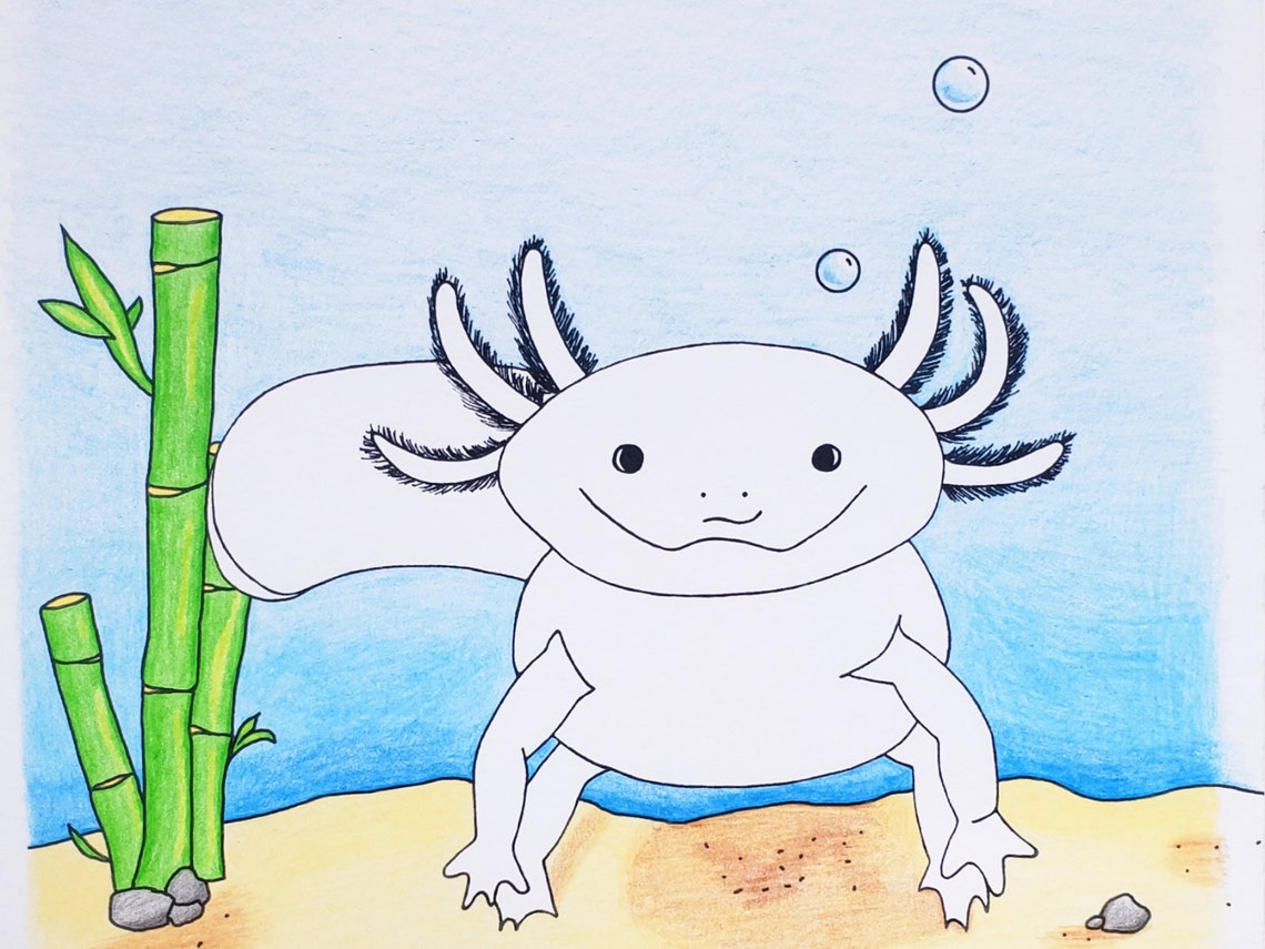 Axolotl Printable Coloring Page All Ages Coloring Page Cute - Etsy