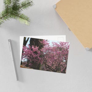 Fine Art ansichtkaarten kersenbloesem, artistiek briefpapier, natuurwenskaarten, bloemendecor, cadeaukaartjes voor alle gelegenheden